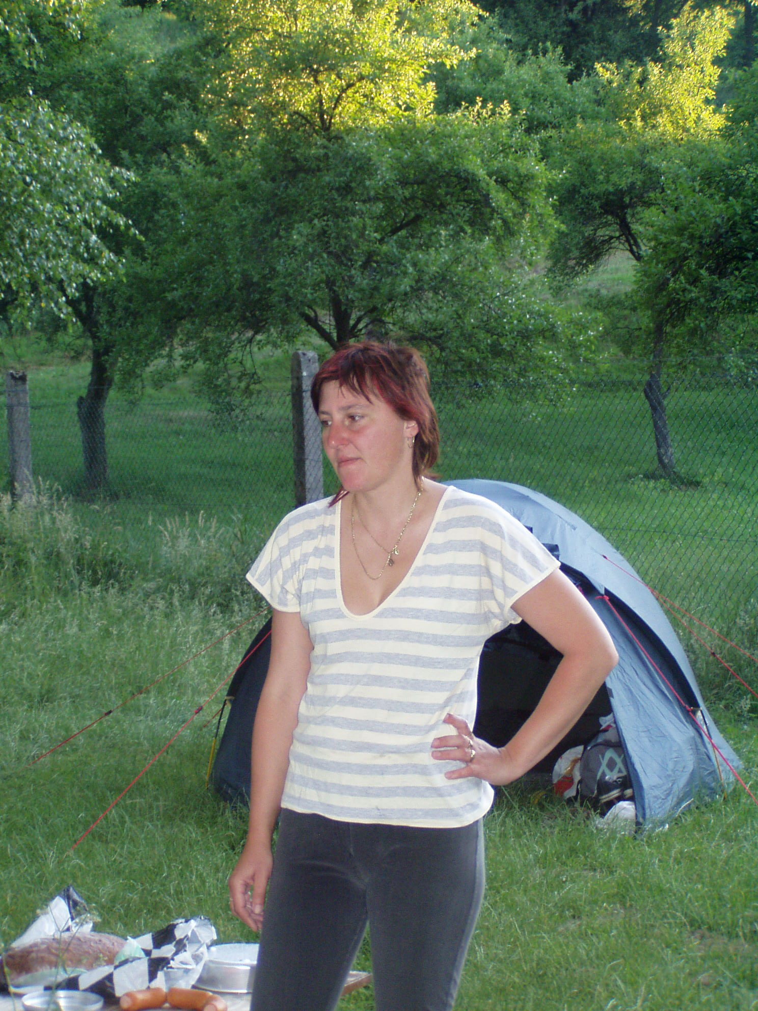 Vltava 2007 018.jpg